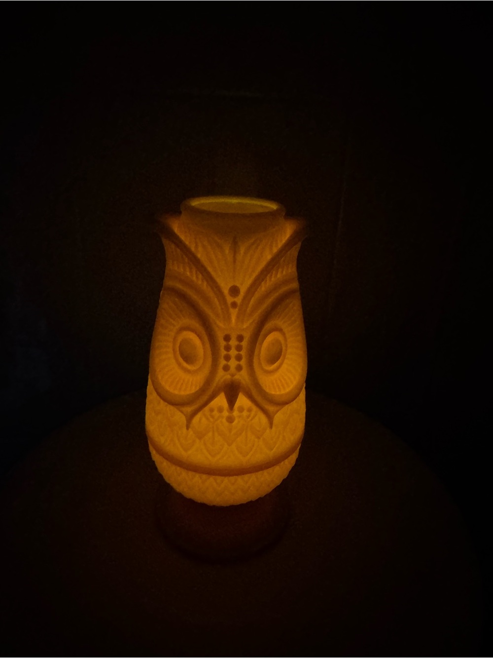 Porcelain Owl Night Light Vase - White